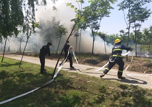 樹林著火現(xiàn)險情  保安急救受贊揚 ——宗保公司駐書院市容項目隊員