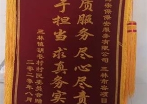毆打辱罵受屈辱  忍辱克制受贊揚——宗保公司駐三林市容項目隊員