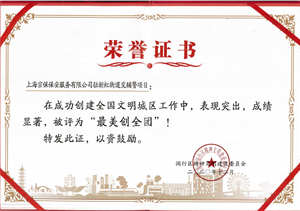 新虹街道交管輔警項目被評為“最美創(chuàng)全團”