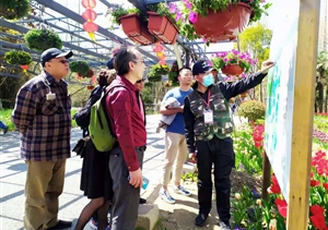 宗保黨員志愿服務(wù)隊(duì)全力備戰(zhàn)花博會(huì)